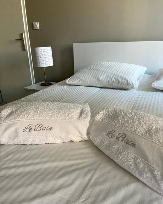 Vigne Et Mer-Spacieux Appartement Haussmannien-2Chambres-Wifi Безьє Екстер'єр фото